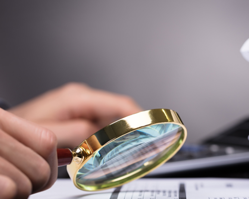 Insurance Fraud Investigations